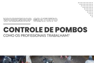 WhatsApp Image 2025 11 17 at 20.16.35 - Pragas e Eventos