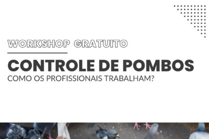 WhatsApp Image 2025 11 17 at 20.16.35 - Pragas e Eventos