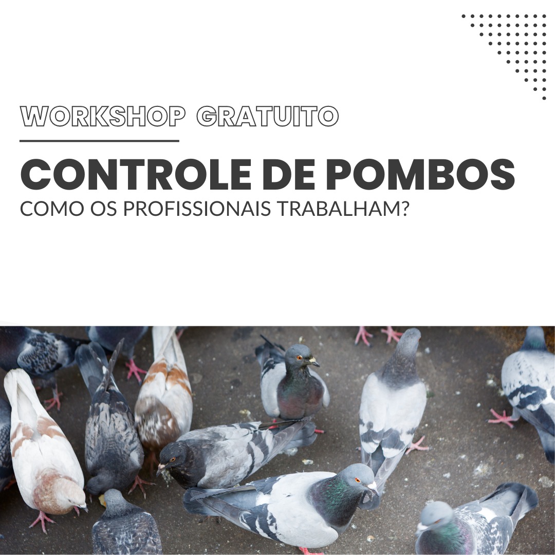 WhatsApp Image 2025 11 17 at 20.16.35 - Pragas e Eventos