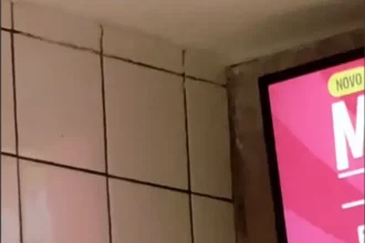 baratas no McDonald’s