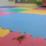 Escorpião em Creche