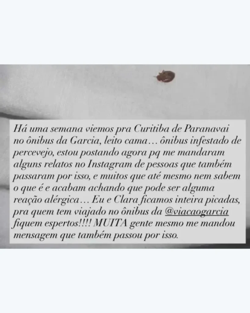 584417881 18302996443265714 1838545459986280855 n - Pragas e Eventos