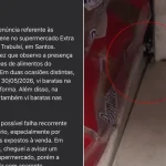barata e flagrada em prateleira de mercado em santos2C sp3A cliente se indigna e faz reclamacao a prefeitura - Pragas e Eventos