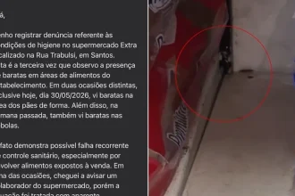 barata e flagrada em prateleira de mercado em santos2C sp3A cliente se indigna e faz reclamacao a prefeitura - Pragas e Eventos
