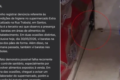 barata e flagrada em prateleira de mercado em santos2C sp3A cliente se indigna e faz reclamacao a prefeitura - Pragas e Eventos