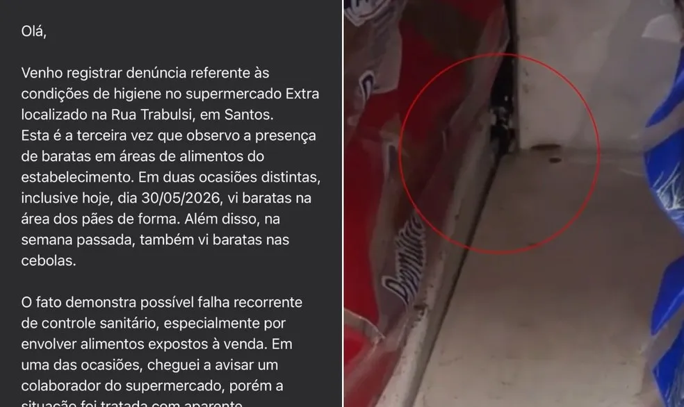 barata e flagrada em prateleira de mercado em santos2C sp3A cliente se indigna e faz reclamacao a prefeitura - Pragas e Eventos