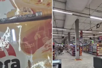 Barata é flagrada sobre lasanha em supermercado de Cabo Frio