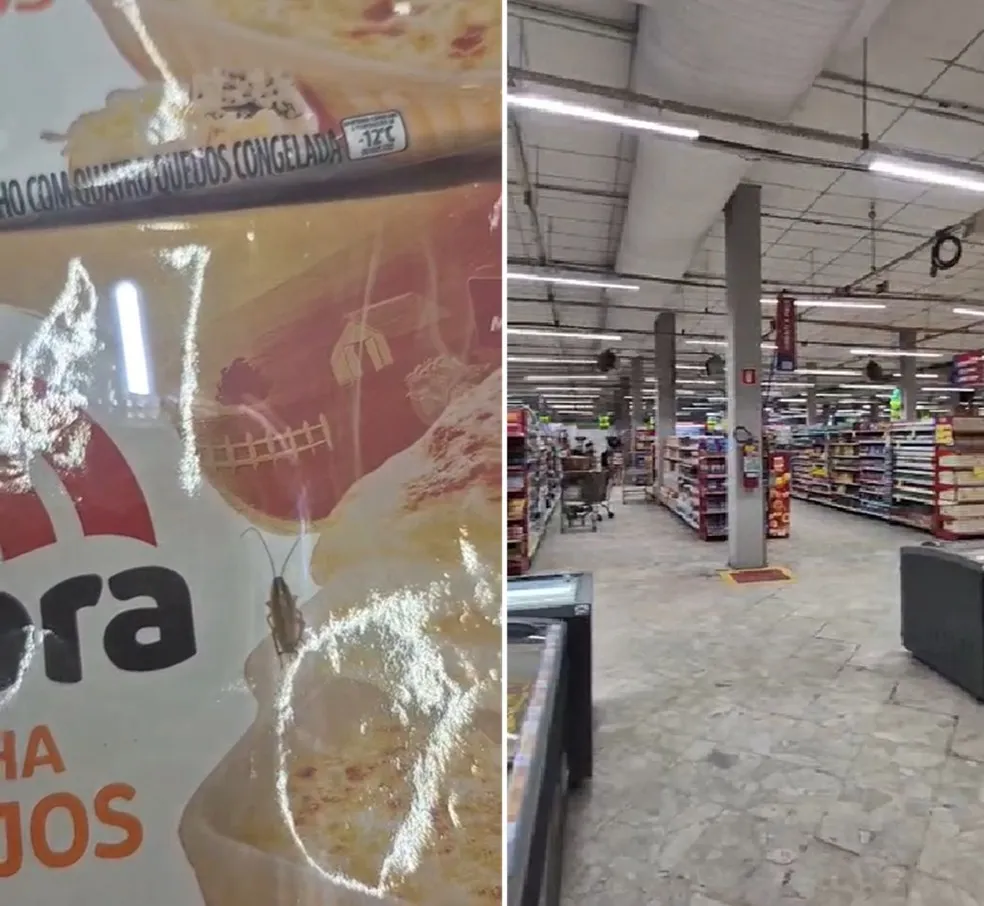 Barata é flagrada sobre lasanha em supermercado de Cabo Frio