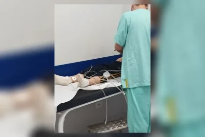 menino de 9 anos e picado por escorpiao ao calcar tenis - Pragas e Eventos