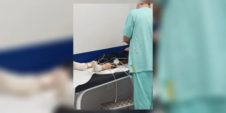 menino de 9 anos e picado por escorpiao ao calcar tenis - Pragas e Eventos