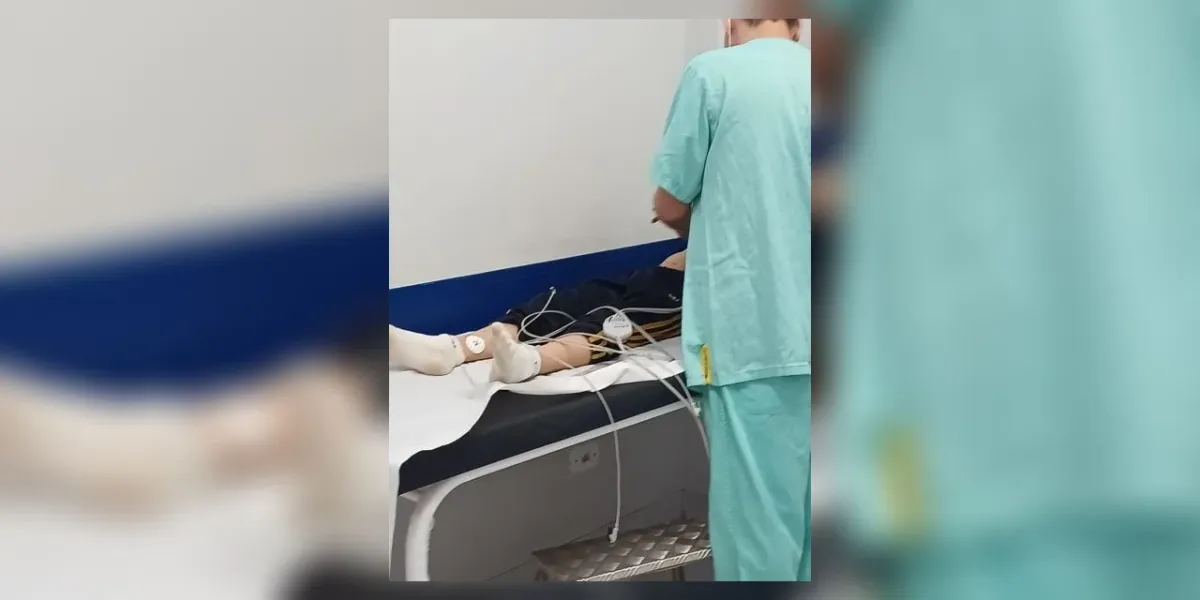 menino de 9 anos e picado por escorpiao ao calcar tenis - Pragas e Eventos