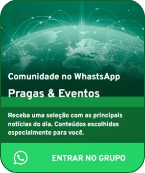 Entrar-no-WhatsApp-Pragas-e-Eventos