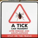 Infecção Transmitida Por Carrapatos