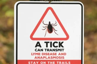 Infecção Transmitida Por Carrapatos