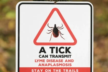 Infecção Transmitida Por Carrapatos