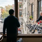 Man watching neighbor feed pigeons 202607021052 - Pragas e Eventos