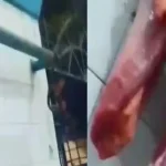Rato em Carne de Mercado