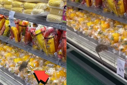 Rato em Verduras de Mercado