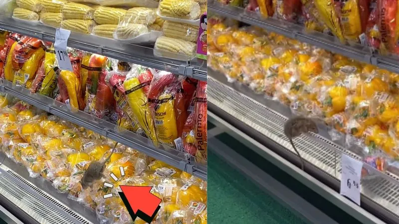 Rato em Verduras de Mercado