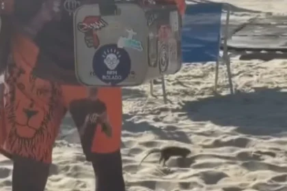 Ratos na Praia - Pragas e Eventos
