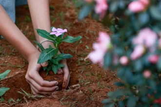 alunos e professores da escola classe 03 do nucleo bandeirante onde valentina nobre estudava fazem homenagem a crianca que morreu devido a picada de escorpiao