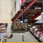 Pragas em Estoque de Supermercado levam Fiscais do Procon registram presença de pombos e fezes de roedores e aves no depósito interditado