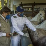 Produção de Soro Antiescorpiônico
