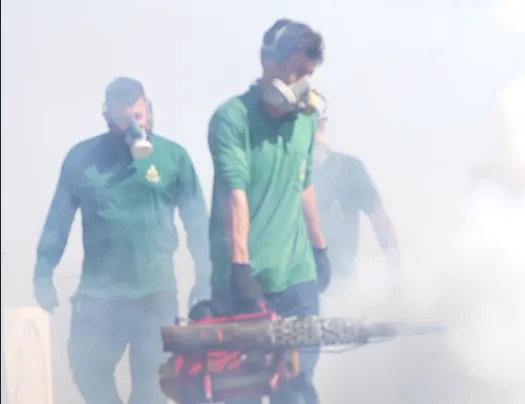 Controle de Pragas em Cemitérios
