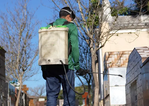Controle de Pragas em Cemitérios