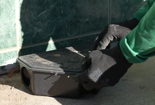 Controle de Pragas em Cemitérios