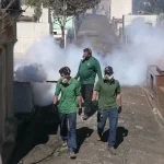 Controle de Pragas em Cemitérios