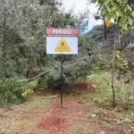 mericana confirma a terceira morte por febre maculosa no ano. Entenda a gravidade da doença, o ciclo do carrapato-estrela e a urgência do CIP