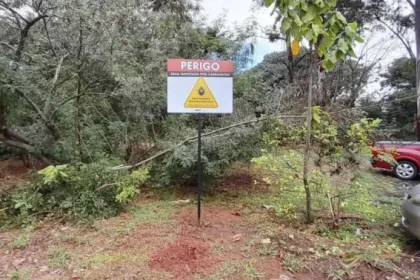 mericana confirma a terceira morte por febre maculosa no ano. Entenda a gravidade da doença, o ciclo do carrapato-estrela e a urgência do CIP