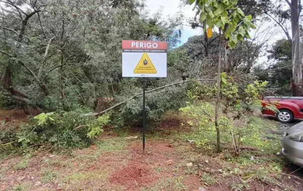 mericana confirma a terceira morte por febre maculosa no ano. Entenda a gravidade da doença, o ciclo do carrapato-estrela e a urgência do CIP