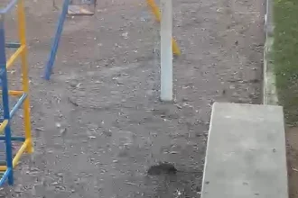 Ratos em Parquinho e UPA: Alerta Sanitário na Comunidade