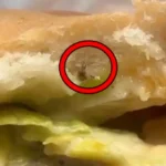 Consumidora grávida encontrou barata no lanche