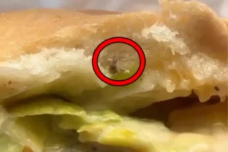 Consumidora grávida encontrou barata no lanche