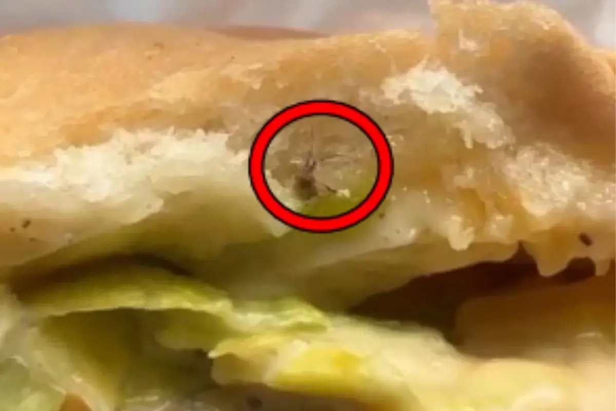 Consumidora grávida encontrou barata no lanche