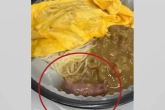 Rato vivo e encontrado em marmita - Pragas e Eventos