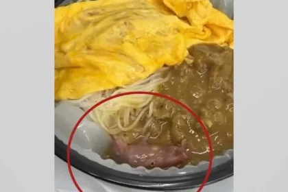 Rato vivo e encontrado em marmita - Pragas e Eventos