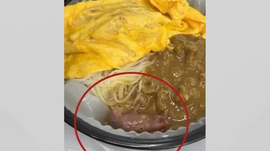 Rato vivo e encontrado em marmita - Pragas e Eventos