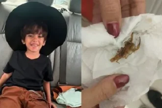 Menino de 3 anos na UTI após picada de escorpião em escola alerta para o perigo letal do vetor