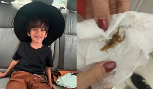 Menino de 3 anos na UTI após picada de escorpião em escola alerta para o perigo letal do vetor