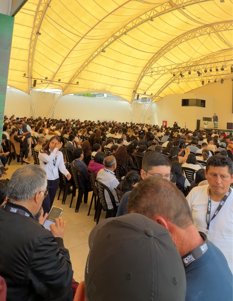 image 1 - Pragas e Eventos