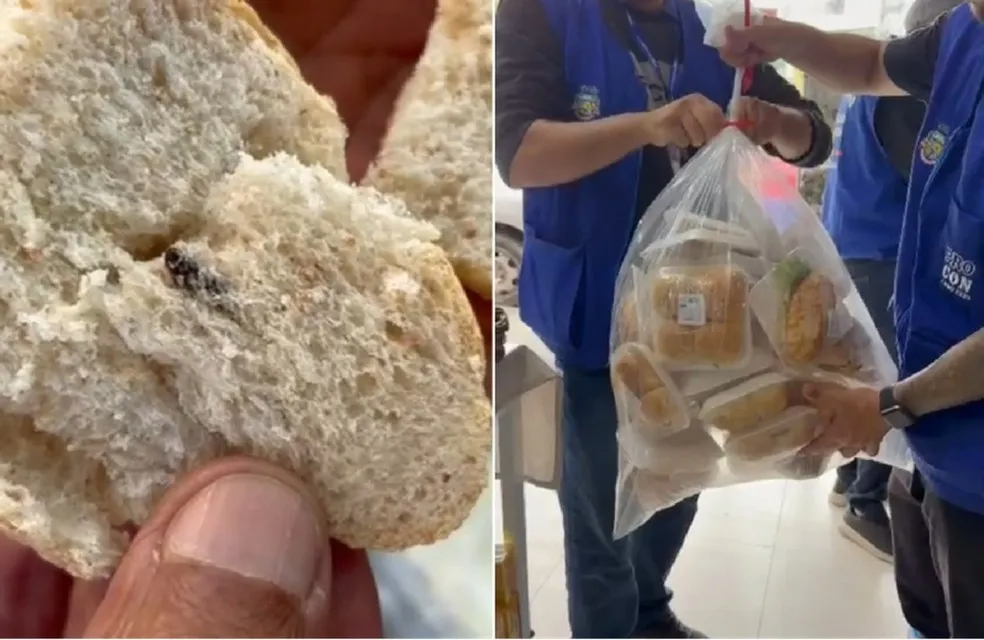 padaria interditada em cabo frio - Pragas e Eventos