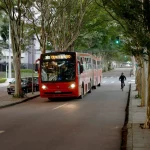 urbs registra media de queixas sobre pragas em onibus de curitiba a cada seis dias - Pragas e Eventos