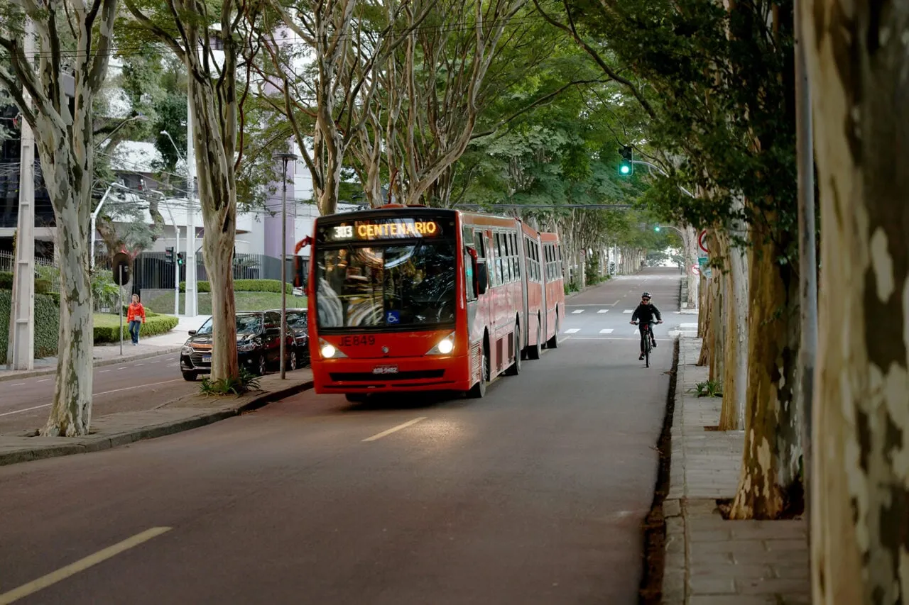 urbs registra media de queixas sobre pragas em onibus de curitiba a cada seis dias - Pragas e Eventos